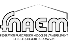logo de la fédération nationale de l’ameublement et de l’équipement de la maison
