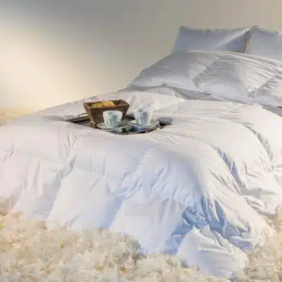 couette castex en plume et duvet
