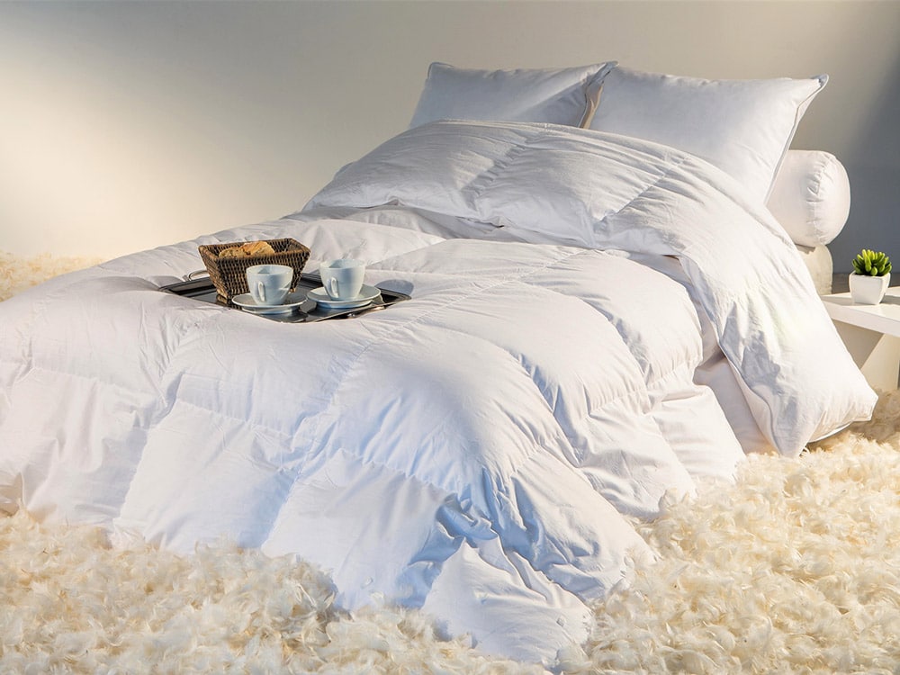 couette castex en plume et duvet