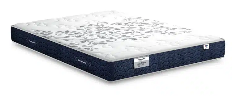 matelas pégase par dunlopillo