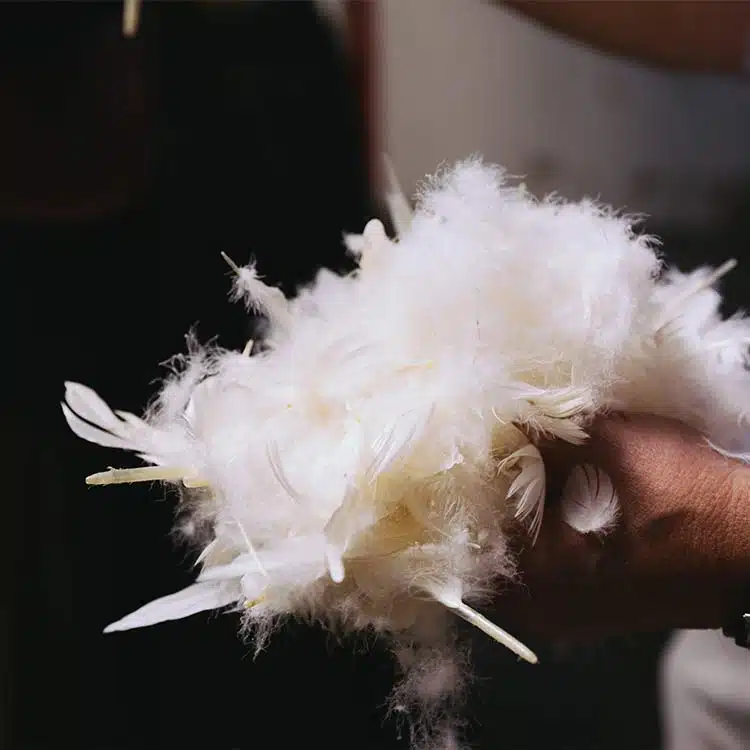 duvet de canard naturel par pyrenex