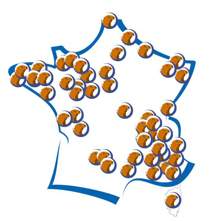 implantation des magasins la halle au sommeil