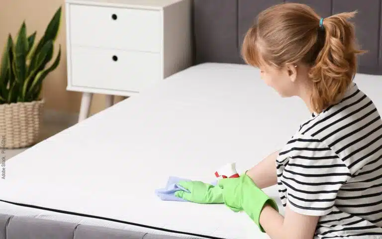 nettoyage d'un matelas à l'éponge