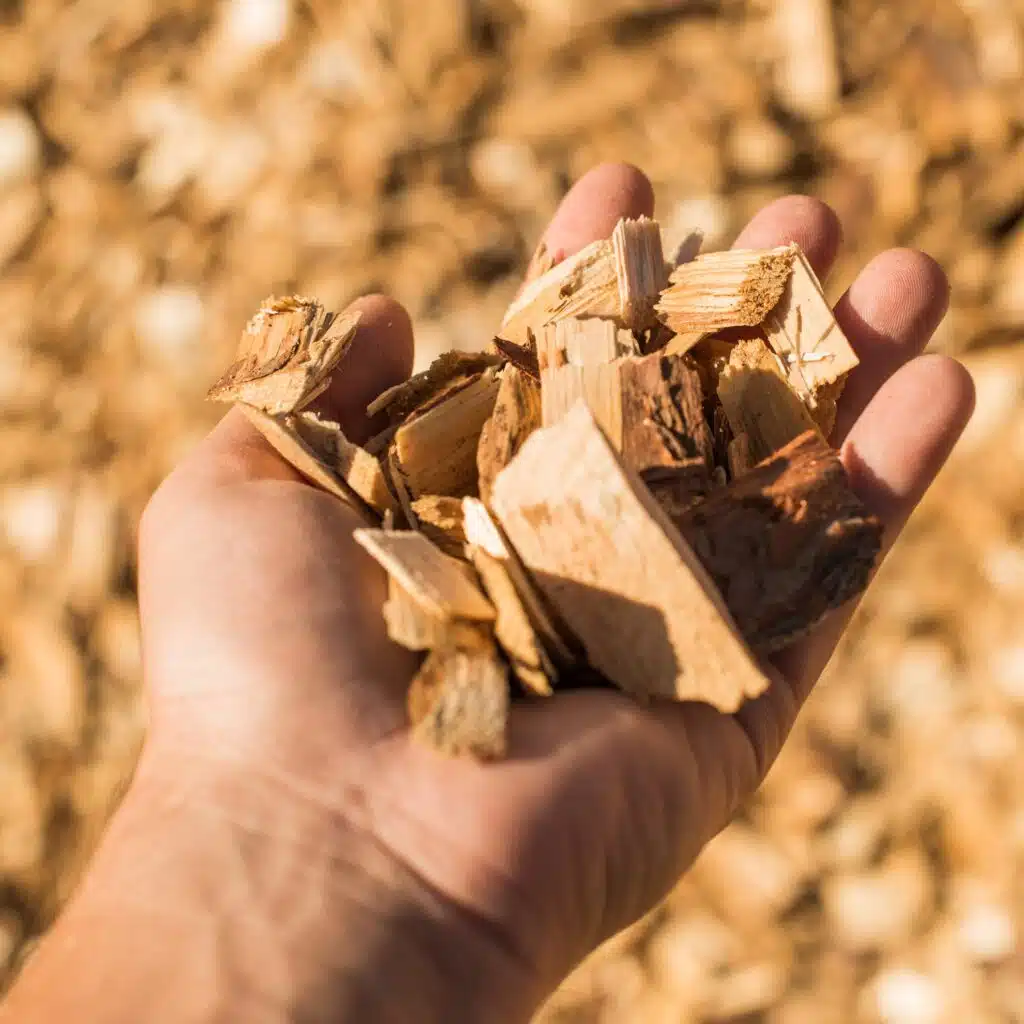 une main et des copeaux de bois