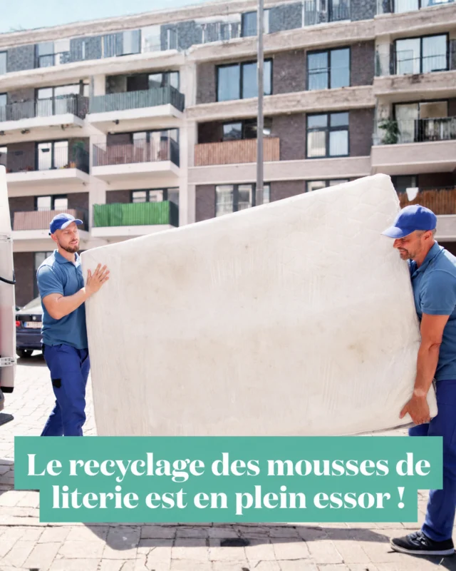 Aujourd’hui, la filière du recyclage de la literie évolue et certaines innovations permettent de regarder autrement ce que l’on considérait hier encore comme un déchet ♻️Parmi les matériaux qui progressent le plus&nbsp;: la mousse de matelas ✨Ces dernières années, les solutions de réemploi et de recyclage ont considérablement évolué pour mieux valoriser cette matière et prolonger son utilité ⏳Pendant longtemps, le recyclage mécanique a été la solution principale&nbsp;: la mousse récupérée était transformée en flocons puis réassemblée pour créer de nouveaux matériaux. Une étape essentielle qui permet encore aujourd’hui de fabriquer de nouveaux usages utiles&nbsp;: isolants pour le bâtiment ou l’automobile, sous-couches, tapis de sport…👉 Mais l’innovation ne s’est pas arrêtée là. De nouvelles avancées dans le recyclage chimique ouvrent désormais une autre perspective&nbsp;: récupérer la mousse, la décomposer jusqu’à retrouver une matière première secondaire très proche de celle utilisée à l’origine. Plus concrètement, cela permet progressivement de réintégrer une partie de ces matériaux dans la fabrication de nouvelles mousses et d'améliorer la circularité du secteur 🔄Nous n’en sommes pas encore au matelas fabriqué sans matière vierge, et il est important de le rappeler, mais ces progrès montrent qu’une autre approche est possible&nbsp;: mieux concevoir, mieux collecter, mieux valoriser 💪Avec des acteurs engagés comme @ecomaison_ la filière avance pour faire du réemploi et du recyclage non plus une exception, mais un véritable réflexe ✔️#parlonsliterie #ecomaison #recyclage #économiecirculaire #réemploi